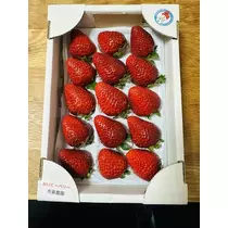 白石 愛莉