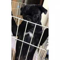 あきな