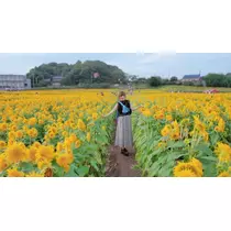 りか