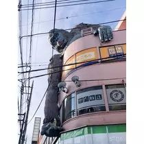 りな