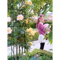 姫花