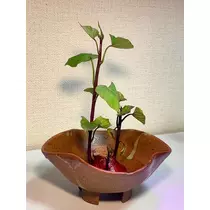 ゆあ
