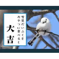 ひな