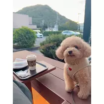 夏目 梨仔