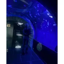 ユズ