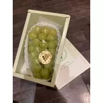 夏樹 あや