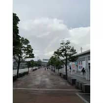 恵里