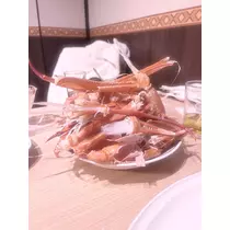ましろ