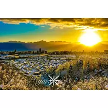 神崎　唯
