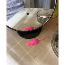 なな