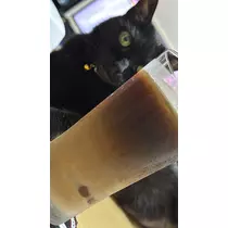 えり