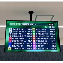 佐倉 里緒