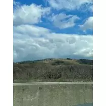 成海 まお