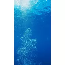 美羽
