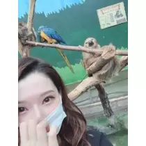足立 はな