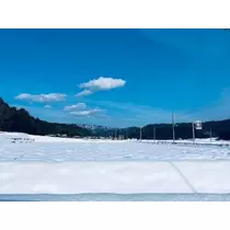ゆかり