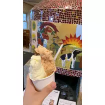 華宮 れい