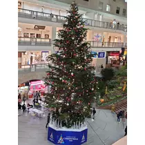 のはら かすみ
