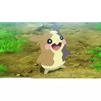小川 真央