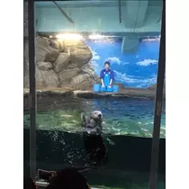 愛羽 仁美