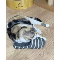 みつき