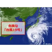 紫音