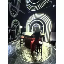 シオン
