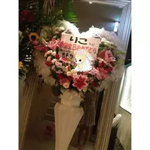 桃瀬 百華