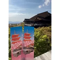 ゆみ