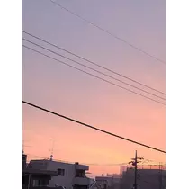 りえ