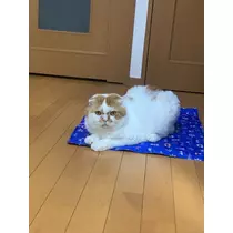 れみ