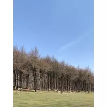 如月 凛