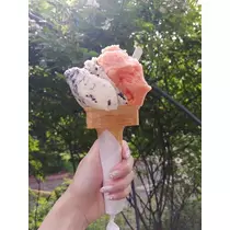 あや