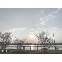 はつね