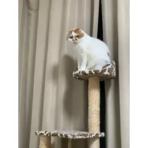 れみ