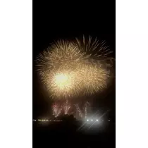 深羽