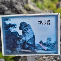 桃園 かんな