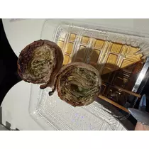 ぽめ・らにあん