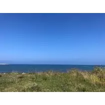 成海 まお