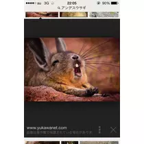 蓮見 リア