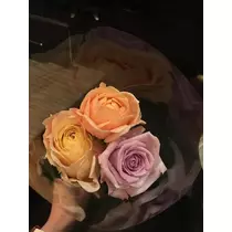 白石 愛莉