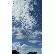 あんな