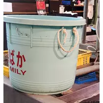紫音