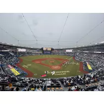 きょうか