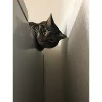 みな