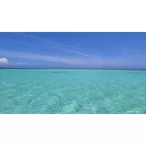 りか