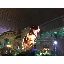 姫花
