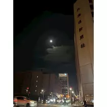 神崎 蘭