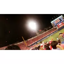 本城 椿
