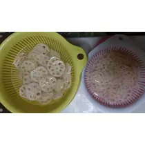 一条 まい